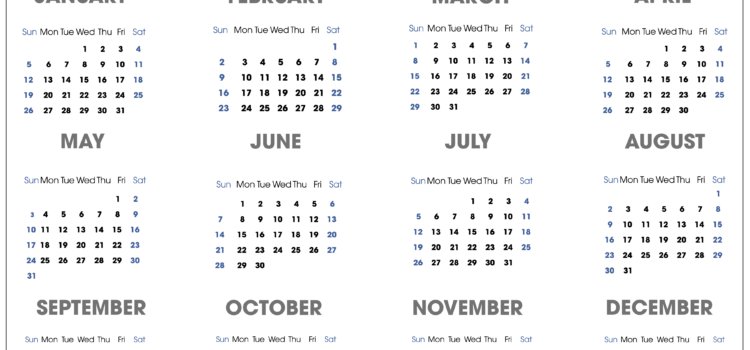 Resumen del año 2020